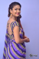 Aditi Myakal At Ami Thumi Movie Pre Release Function